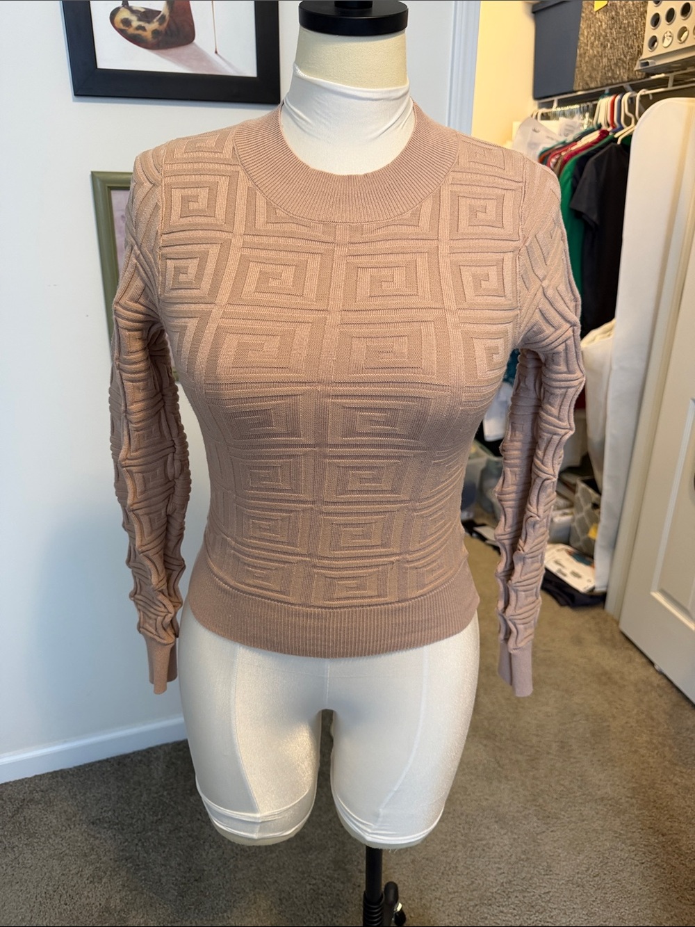 Women's Textured Crewneck Sweater in Dusty Rose
